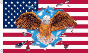 US with Eagle Flag - 3x5 ft