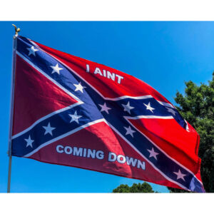I Ain't Coming Down Flag - 3x5 ft